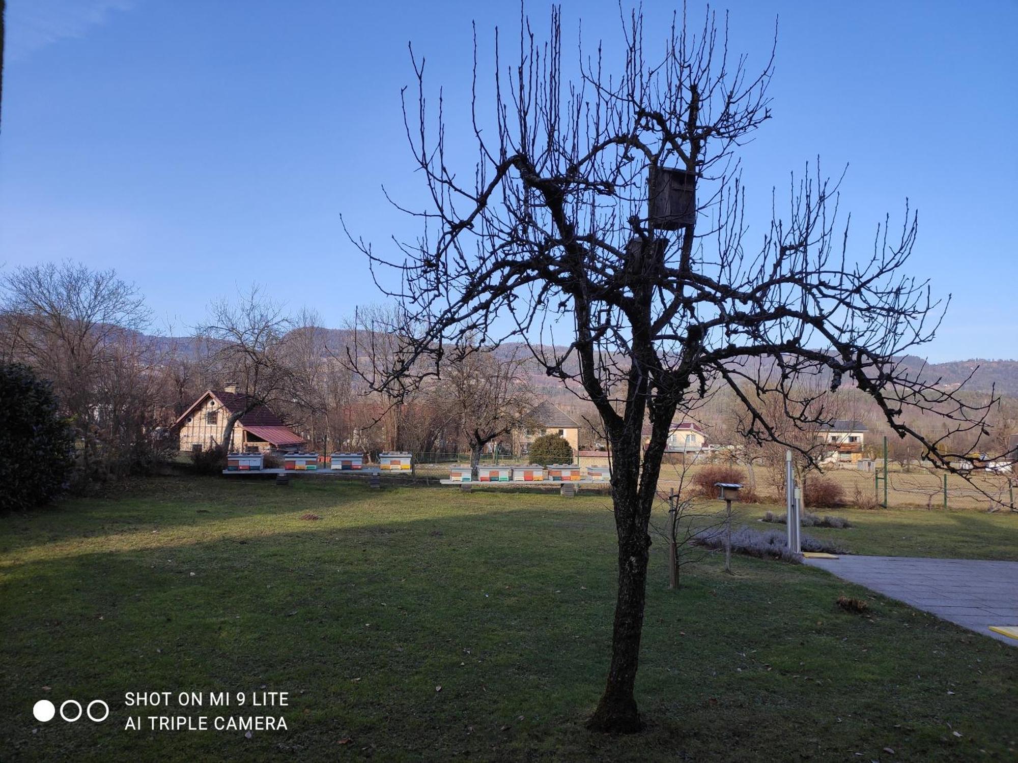 Nice 2 rooms apartment in beautiful Carinthia Feistritz im Rosental Exterior foto